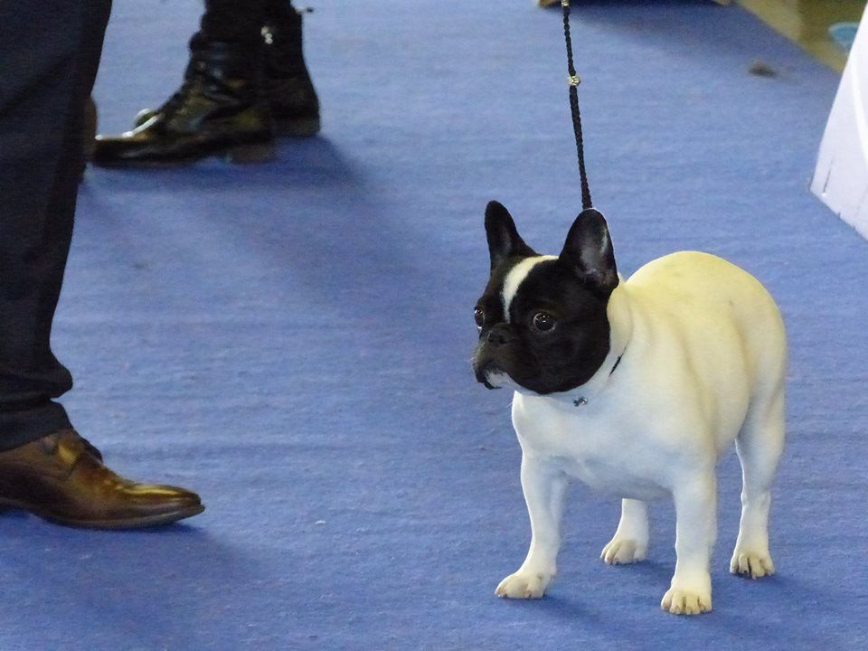 Uriela de el mencey loco - 2EXC CLASSE JEUNE