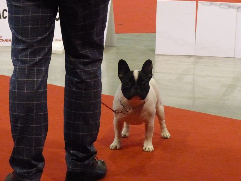 Uriela de el mencey loco - 1EXC CLASSE JEUNE