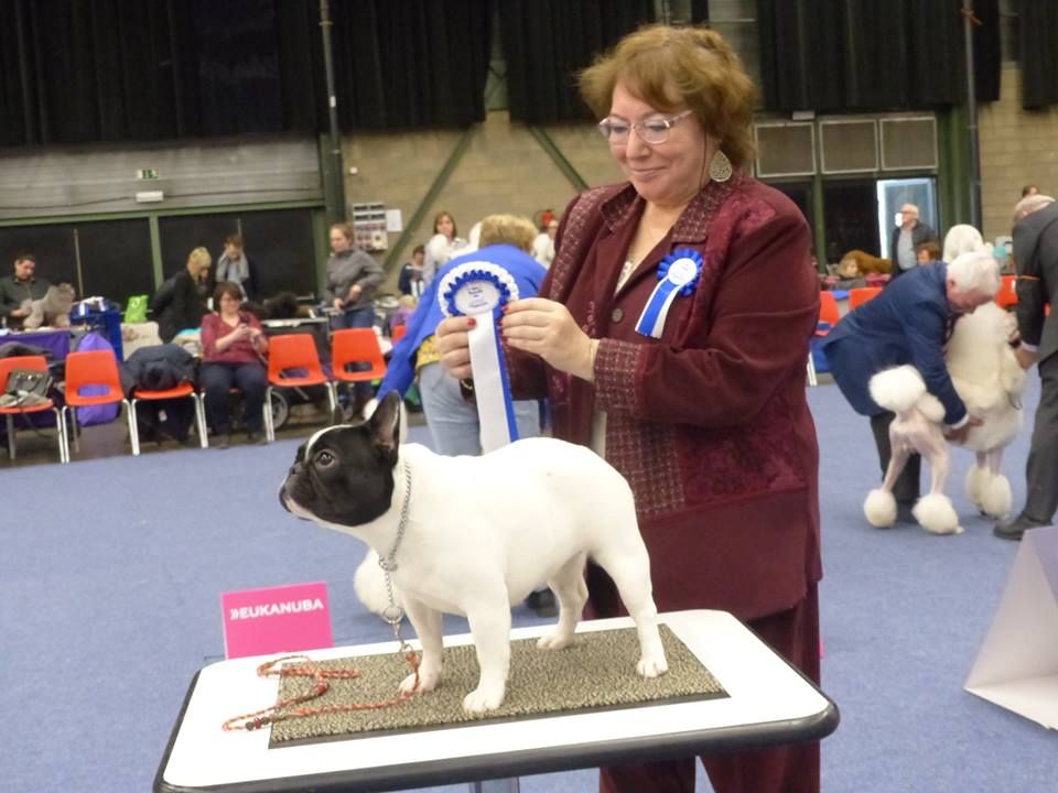 Uriela de el mencey loco - 1er Exc + Meilleur Jeune + BOS