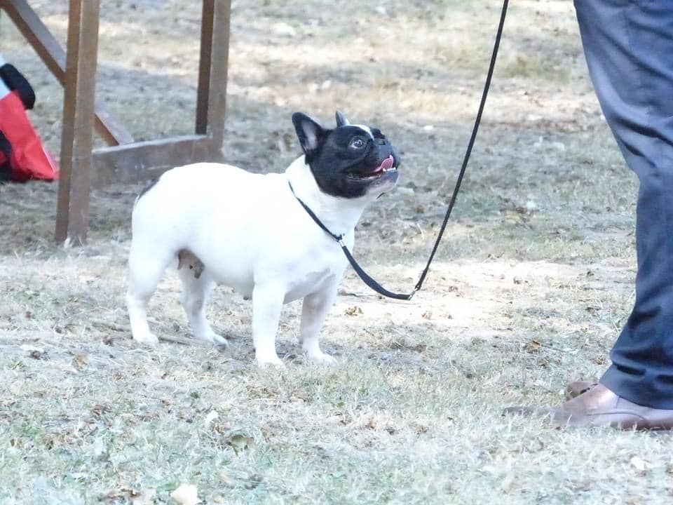 Uriela de el mencey loco - 2EXC+RCACS