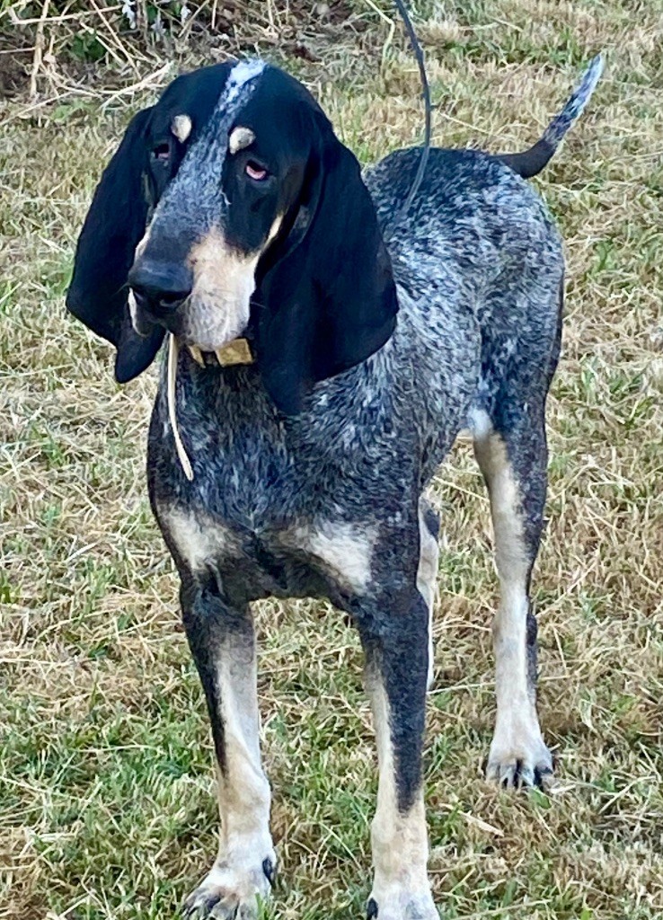 Visa des coteaux varois