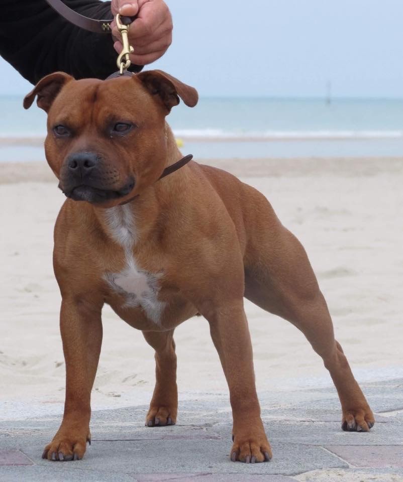 Publication : (Sans Affixe)