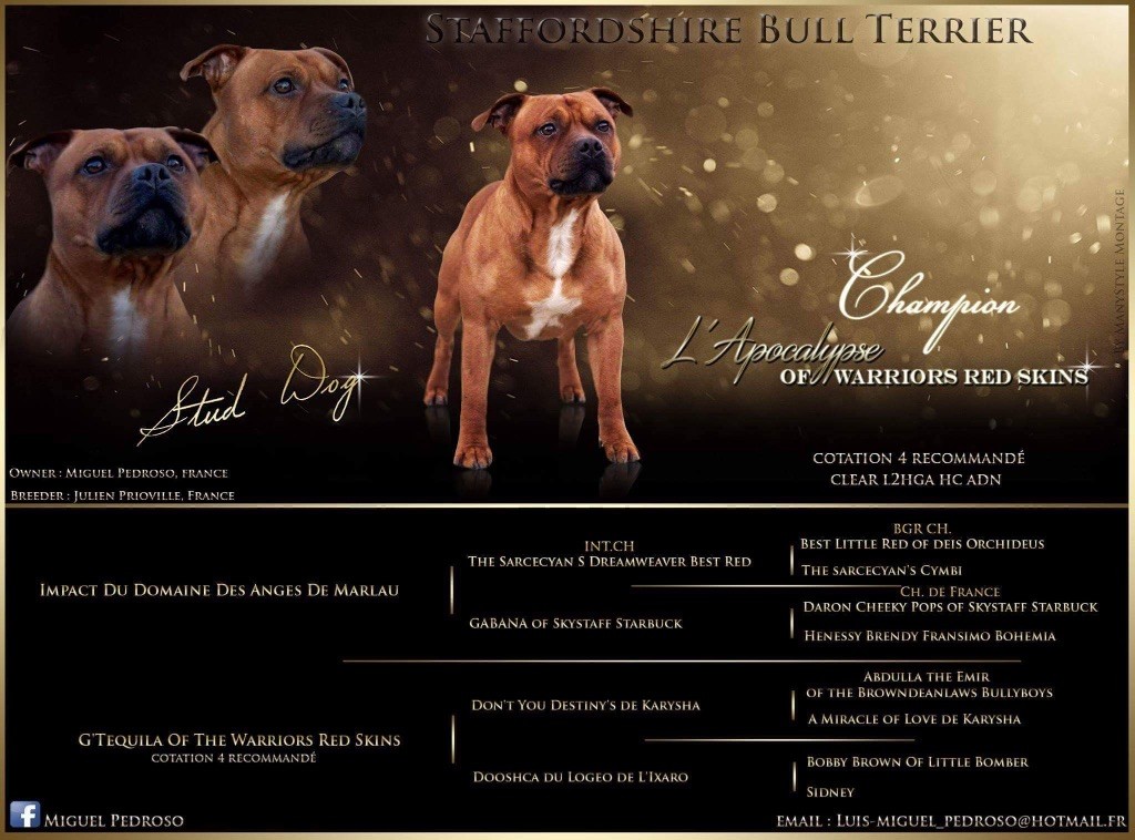 Publication : (Sans Affixe)