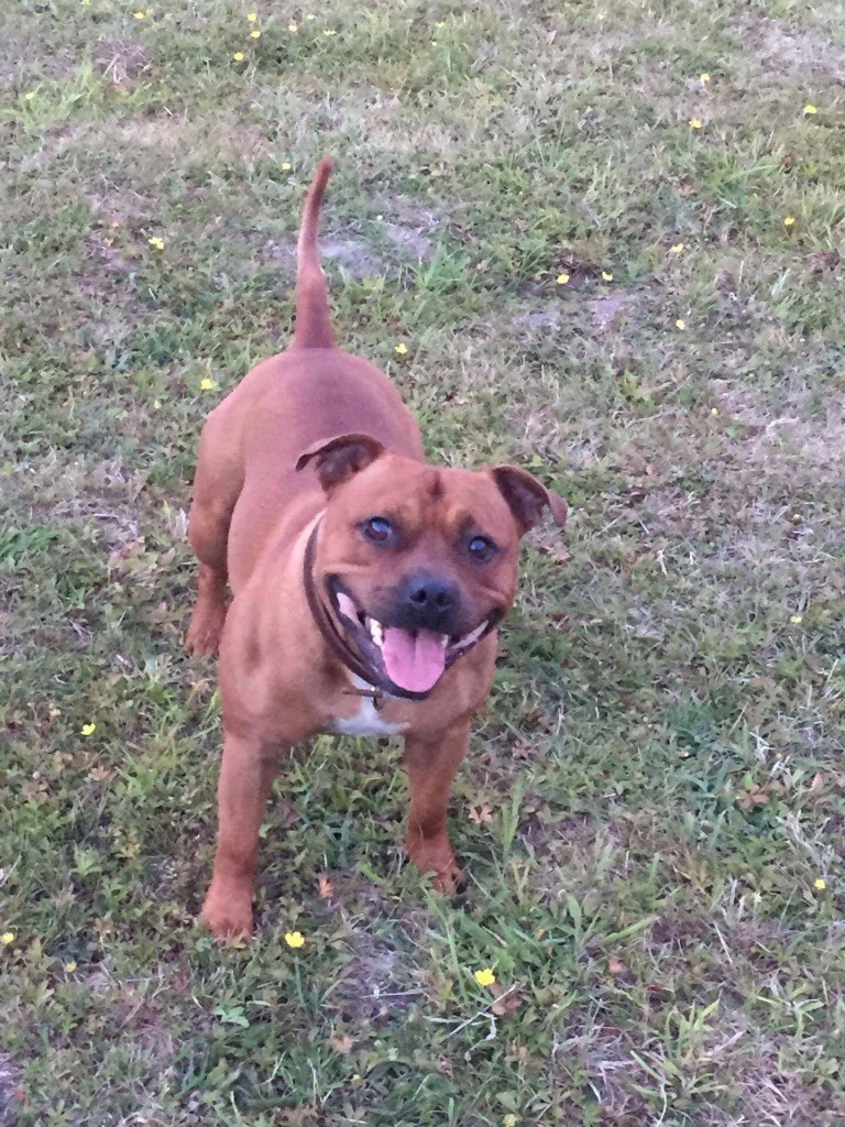 Publication : (Sans Affixe)