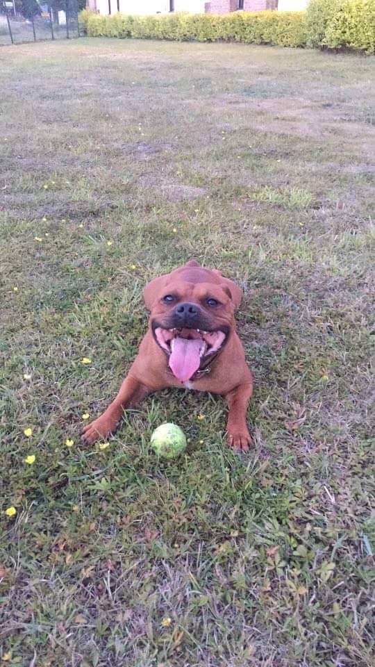 Publication : (Sans Affixe)