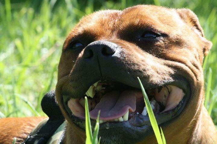 Publication : (Sans Affixe)