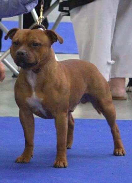 Publication : (Sans Affixe)