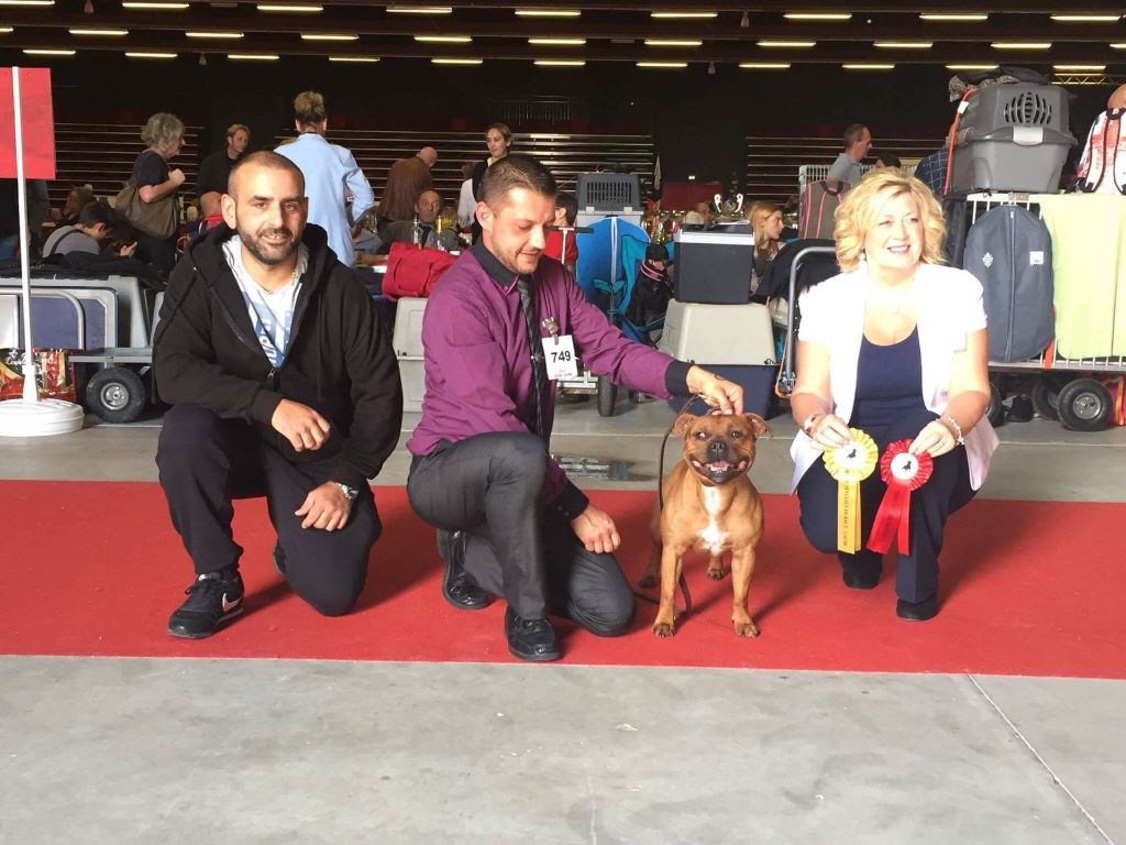 Publication : (Sans Affixe)