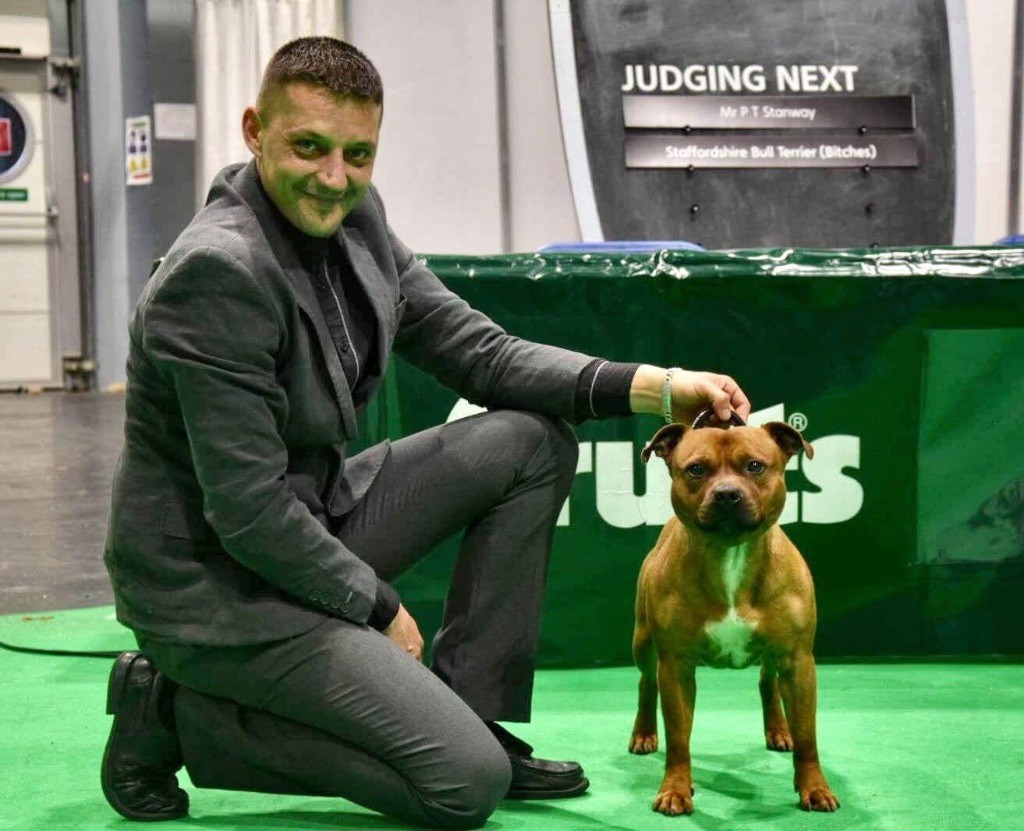 Publication : (Sans Affixe)