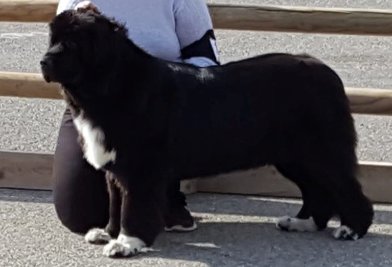 My dream is true Du clos des abysses de provence - 2ème excellent