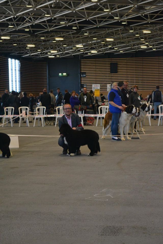 My dream is true Du clos des abysses de provence - Très Prometteur et Meilleur Baby