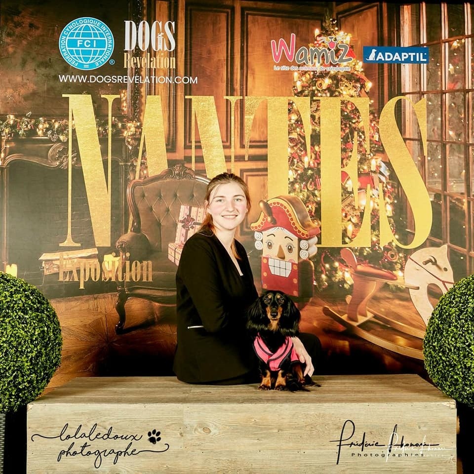 Mufasa (moka) (Sans Affixe) - 1er Excellent - Meilleur Jeune (Classe Jeune)