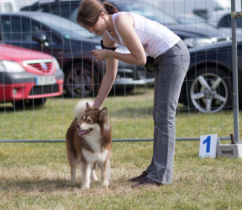 Lord aragorn du Domaine D'Arinella Bianca - Meilleur de Race - CACS