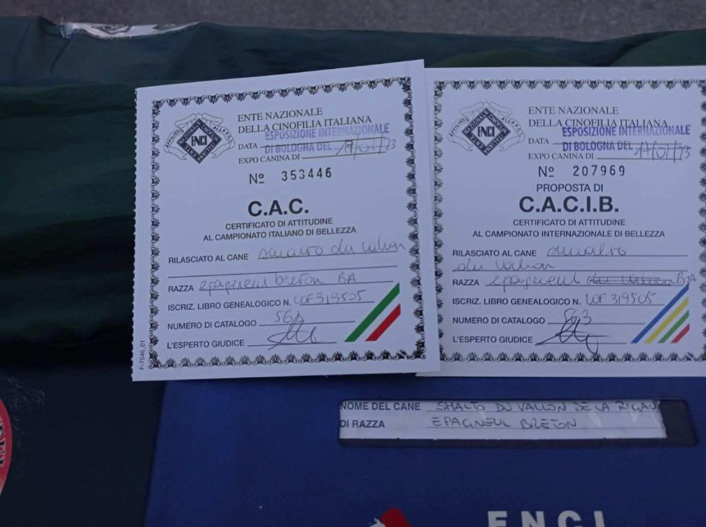 Publication : Du Vallon D'Iron Auteur : PAULE POURCEL