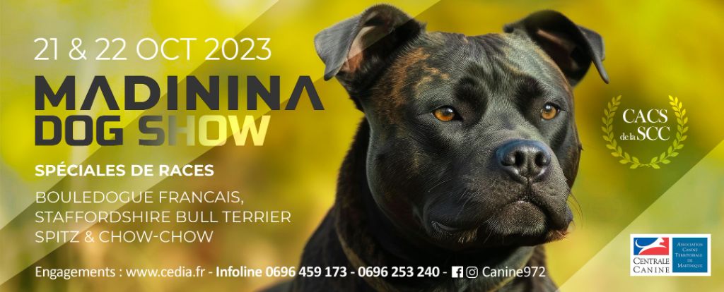 Thoran Vom Hause Cervo - 2 EXCELLENT classe jeune