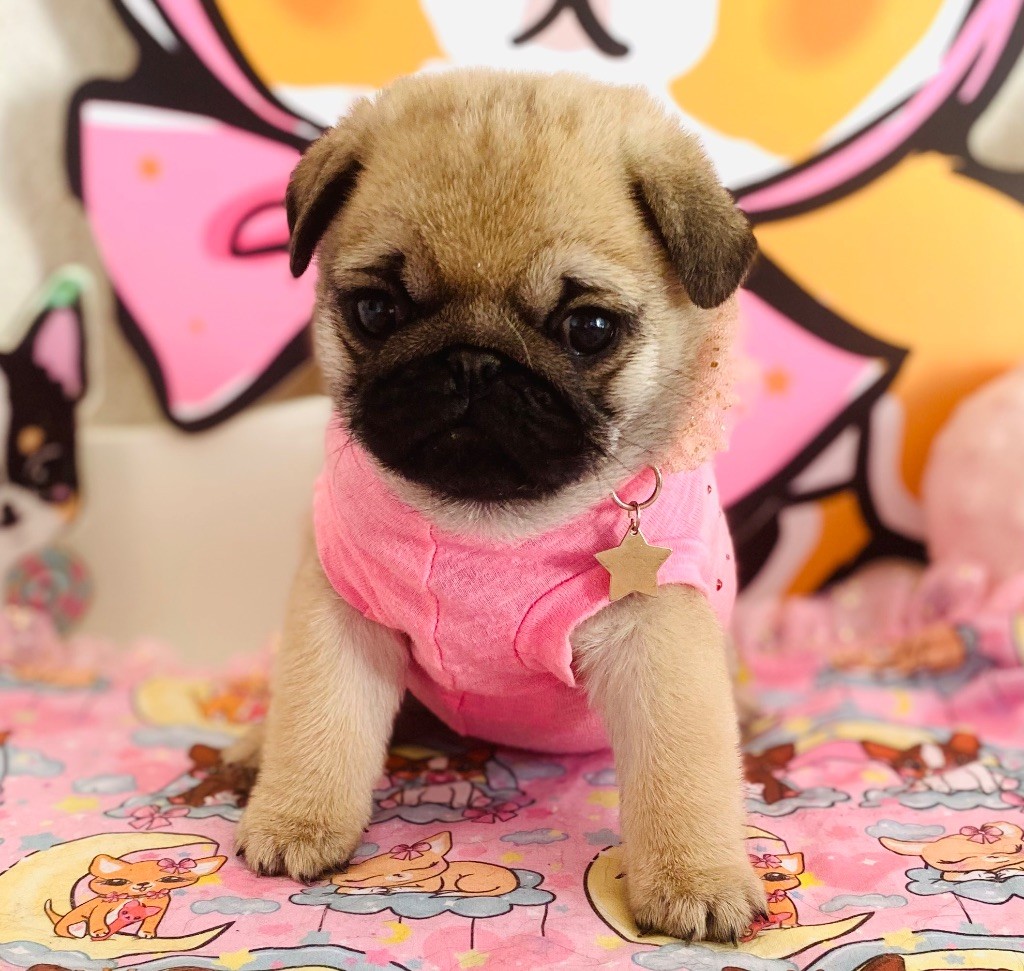 Vogue fashion beauty Of Aphrodite Childs