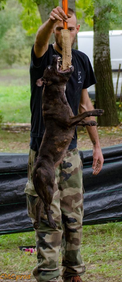 Monroe Angels Of Fangtasia - 16ème / 36