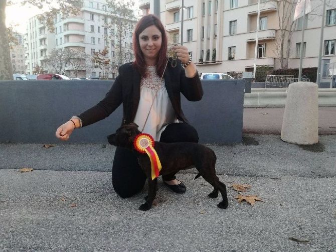 Monroe Angels Of Fangtasia - 2è - Très Prometteur