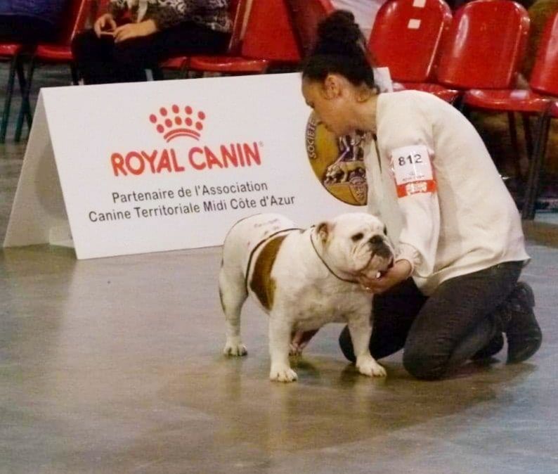 Lady million De Castelfranco Veneto - 3 ème EXCELLENT