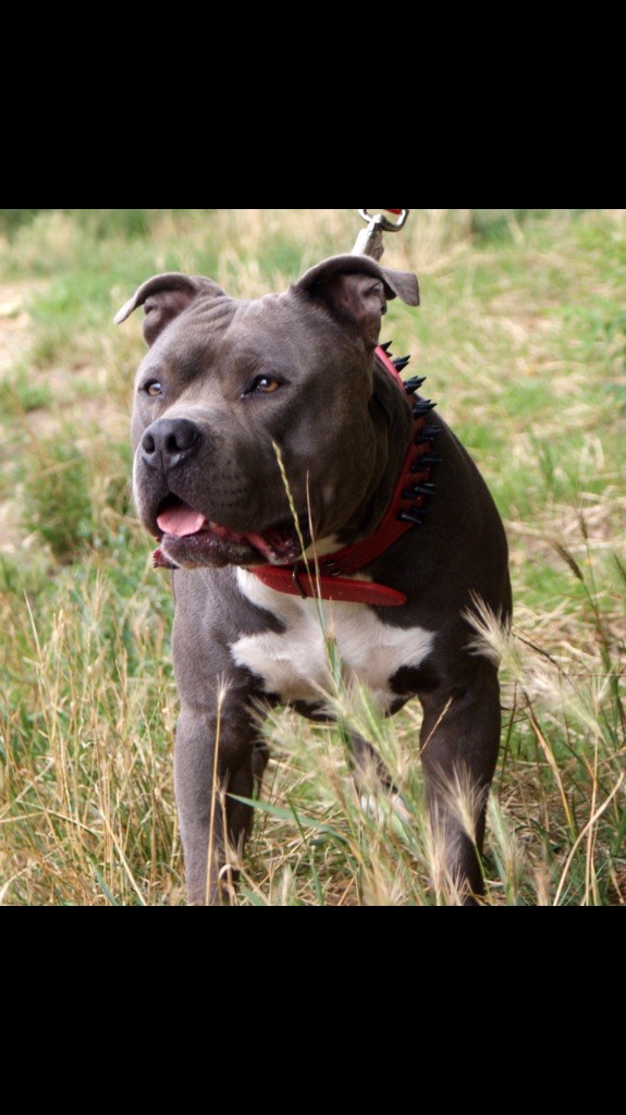 Publication : (Sans Affixe) Auteur : made in staff