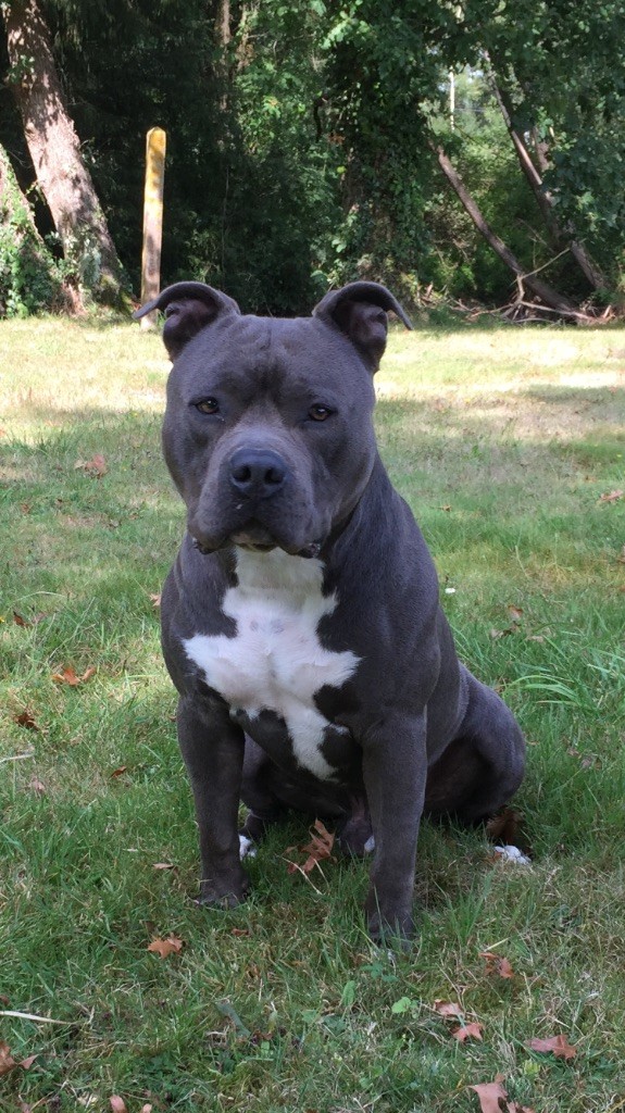 Publication : (Sans Affixe) Auteur : made in staff