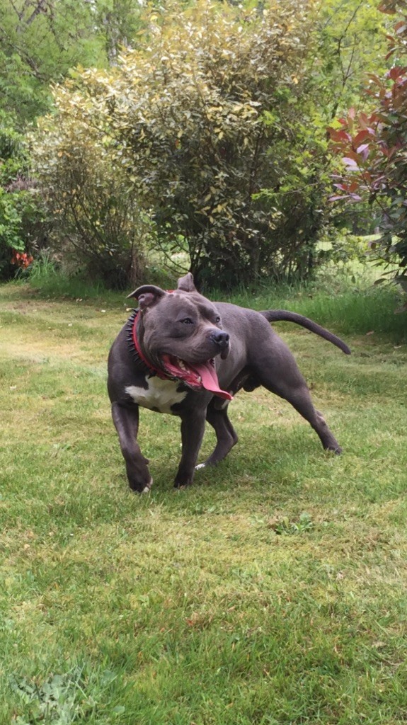 Publication : (Sans Affixe) Auteur : made in staff