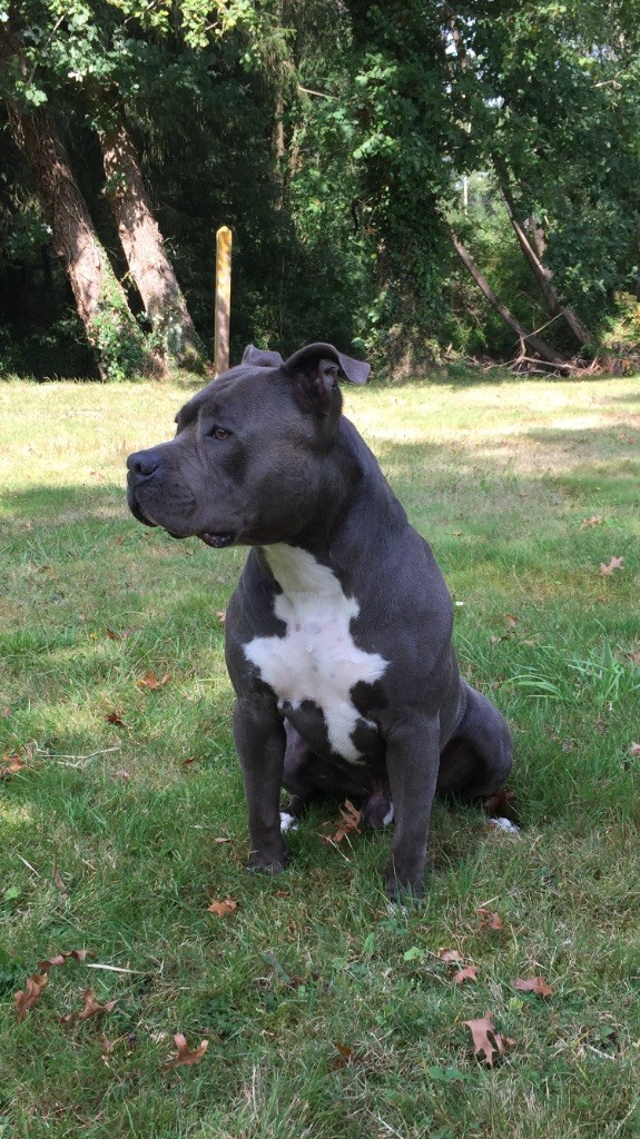 Publication : (Sans Affixe) Auteur : made in staff