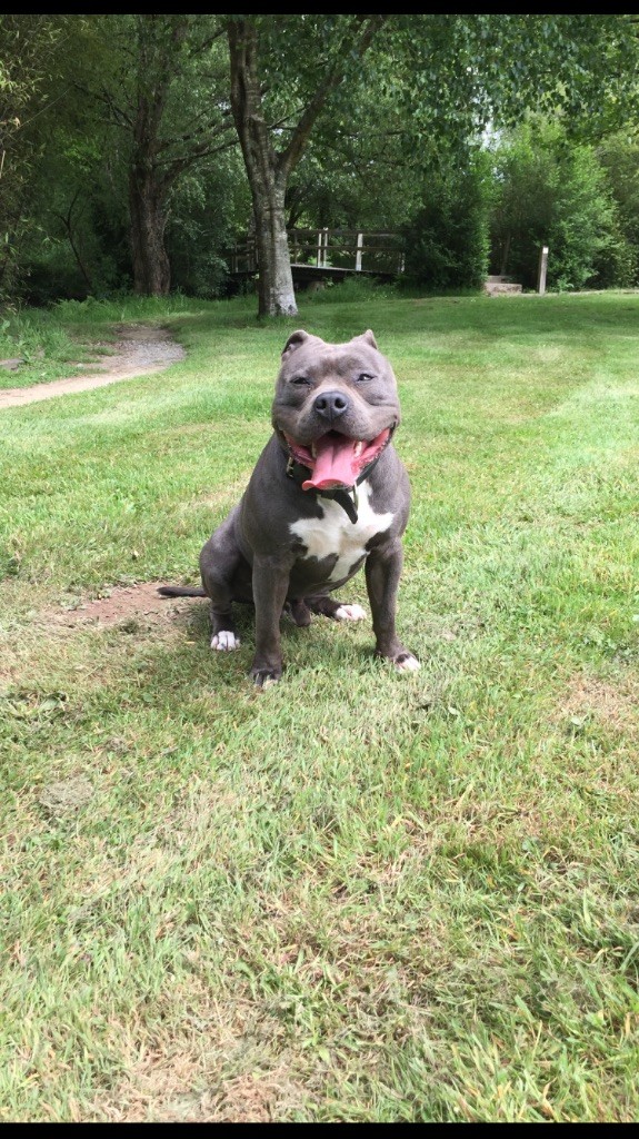 Publication : (Sans Affixe) Auteur : made in staff