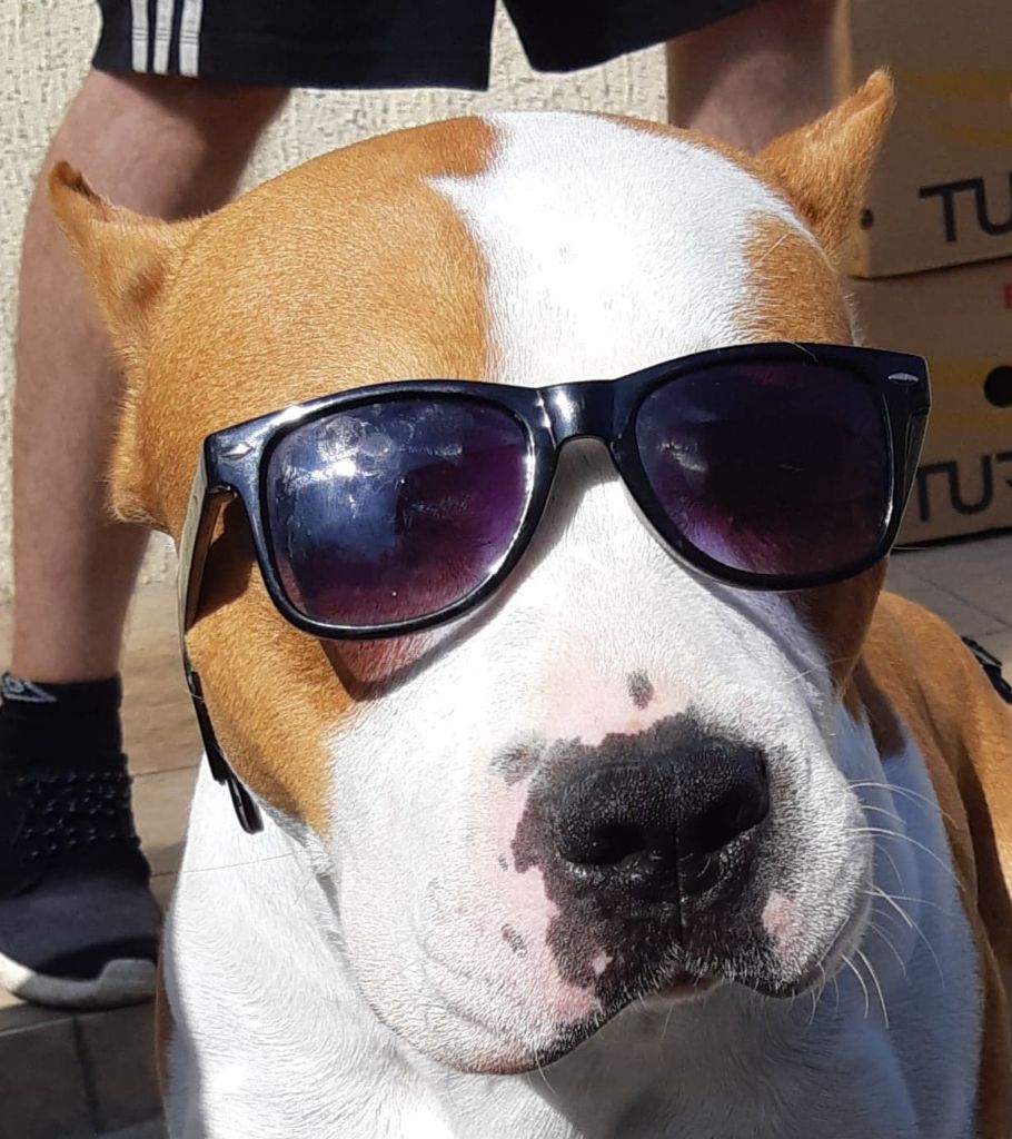 Publication : Glory Potency Of Ring's