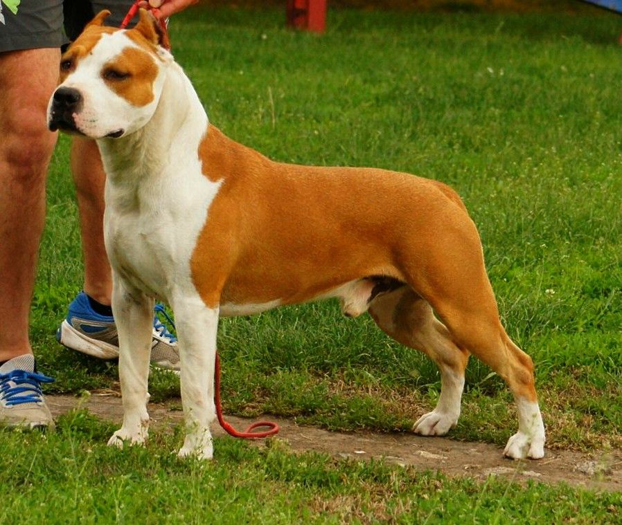 Publication : Glory Potency Of Ring's