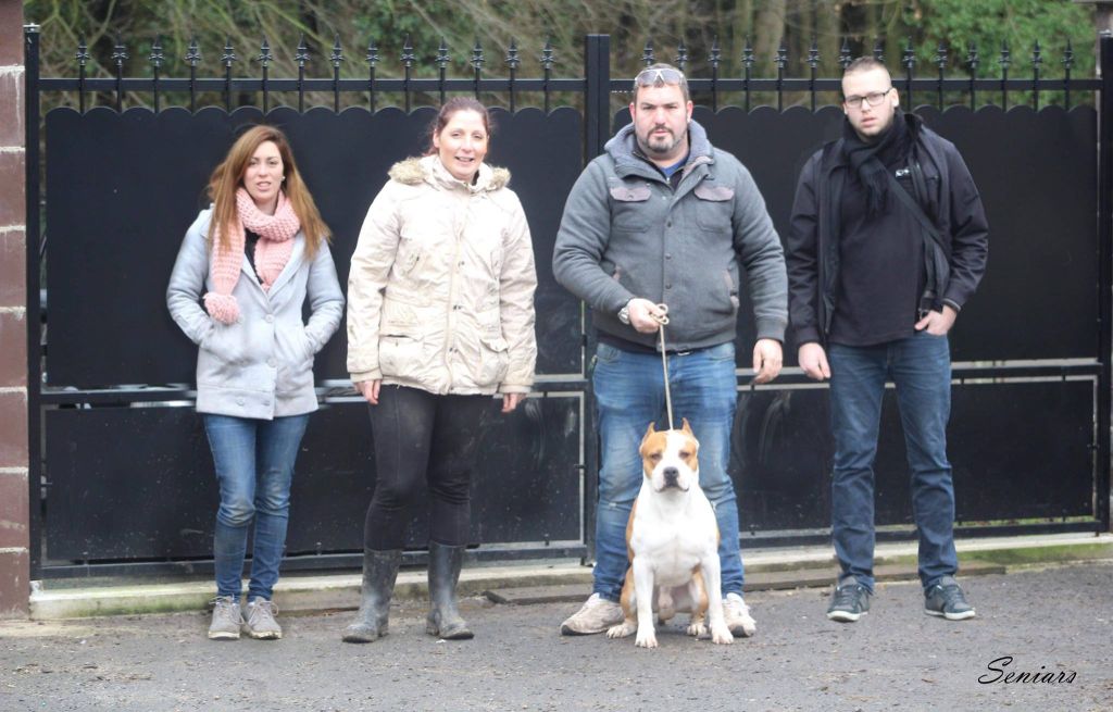 Publication : Glory Potency Of Ring's