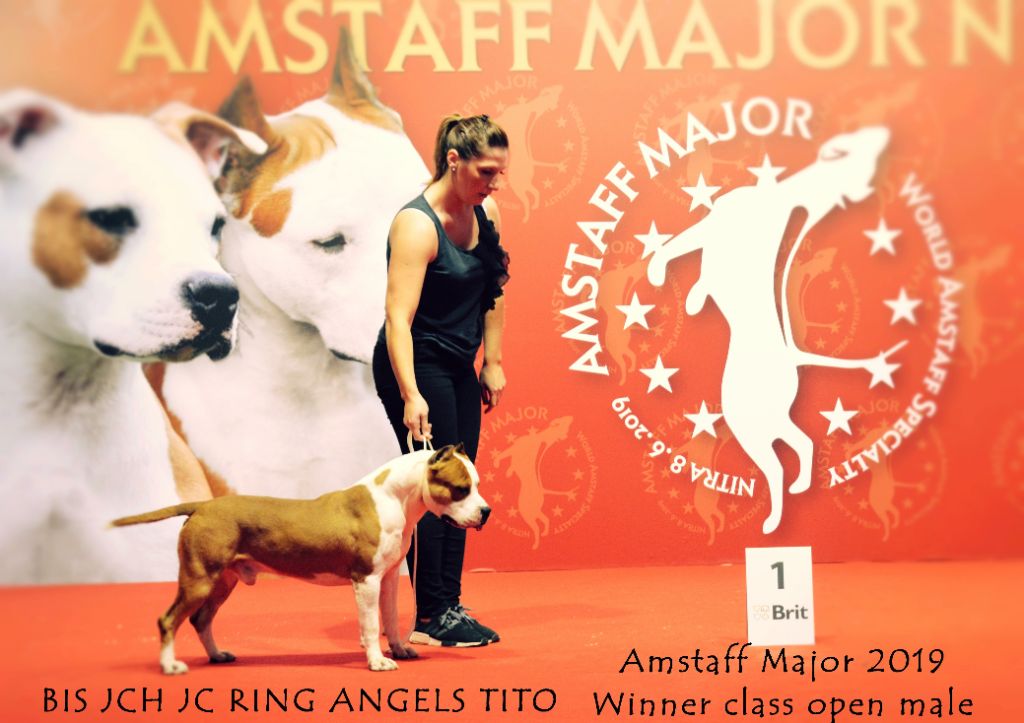 Publication : Glory Potency Of Ring's