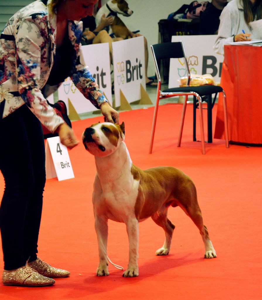 Publication : Glory Potency Of Ring's