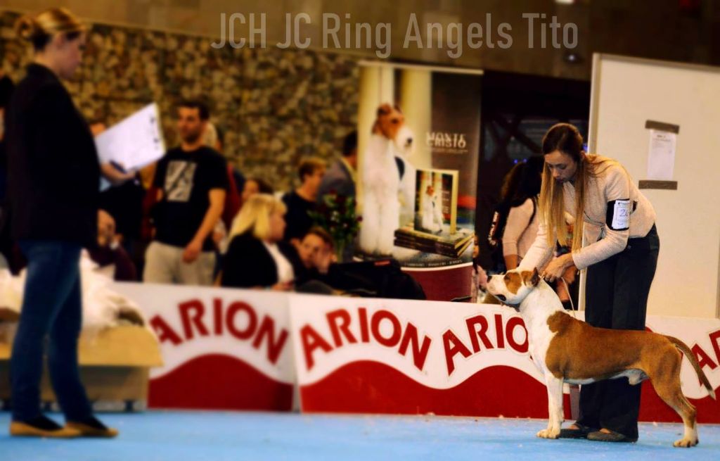 Publication : Glory Potency Of Ring's