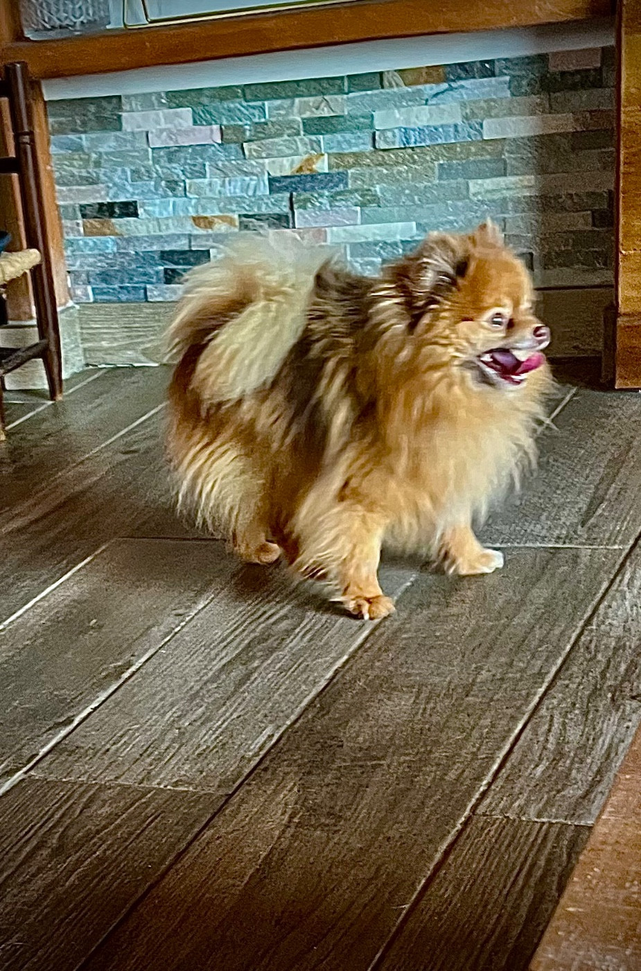 Usap  du domaine du neoulous