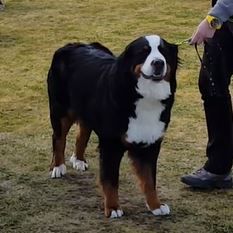 Jumba du hameau des baronnies - Très bon