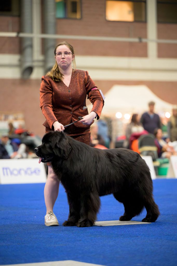 newetta's Educated man