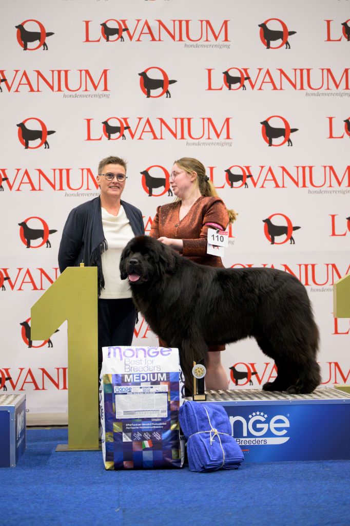 newetta's Educated man