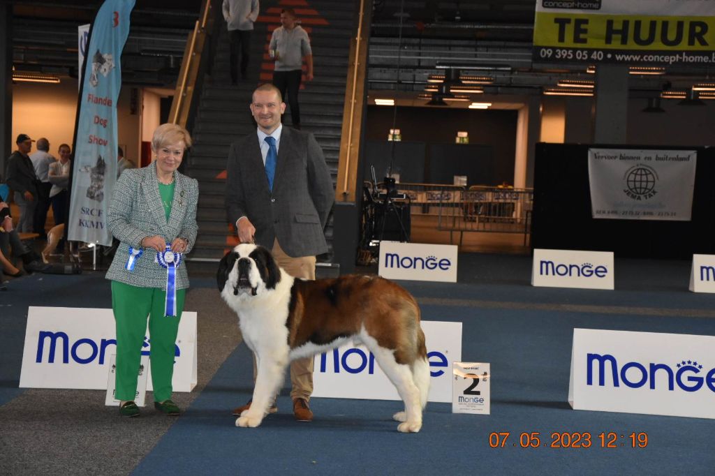 CH. Sheamus du Temple d'Haoma - 1 Excellent CAC + CACIB + BOB + Qualification crufts