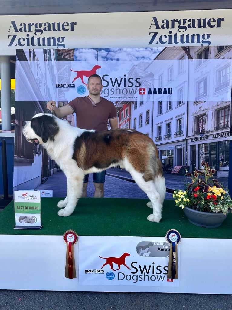 CH. Sheamus du Temple d'Haoma - 1 Excellent CAC + CACIB + BOB
