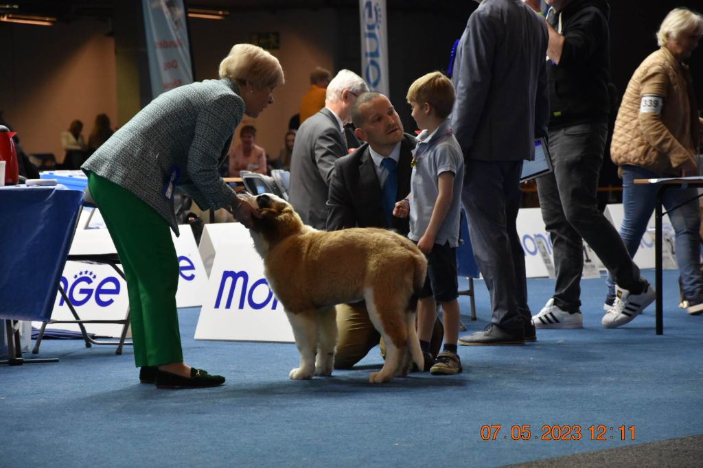 CH. Du Domaine De La Poudrière Winehouse amy - Very promising , ? 2