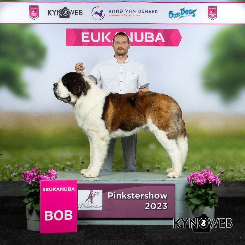 CH. Sheamus du Temple d'Haoma - 1 Excellent CAC + CACIB + BOB