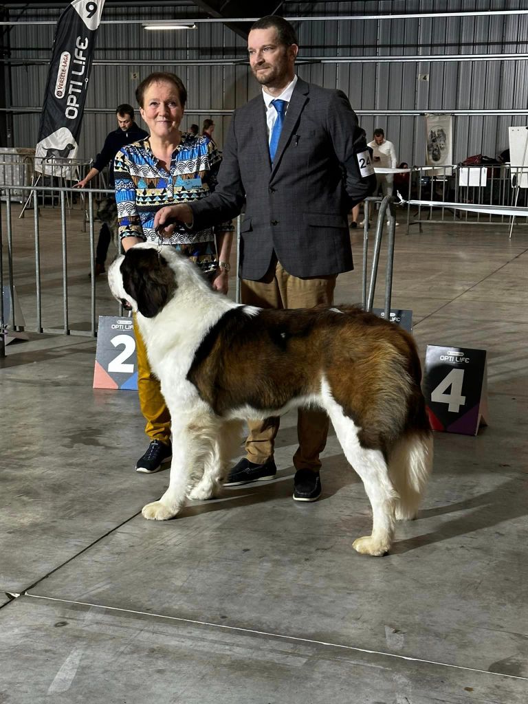 CH. Sheamus du Temple d'Haoma - 1 Excellent CAC + CACIB + BOB