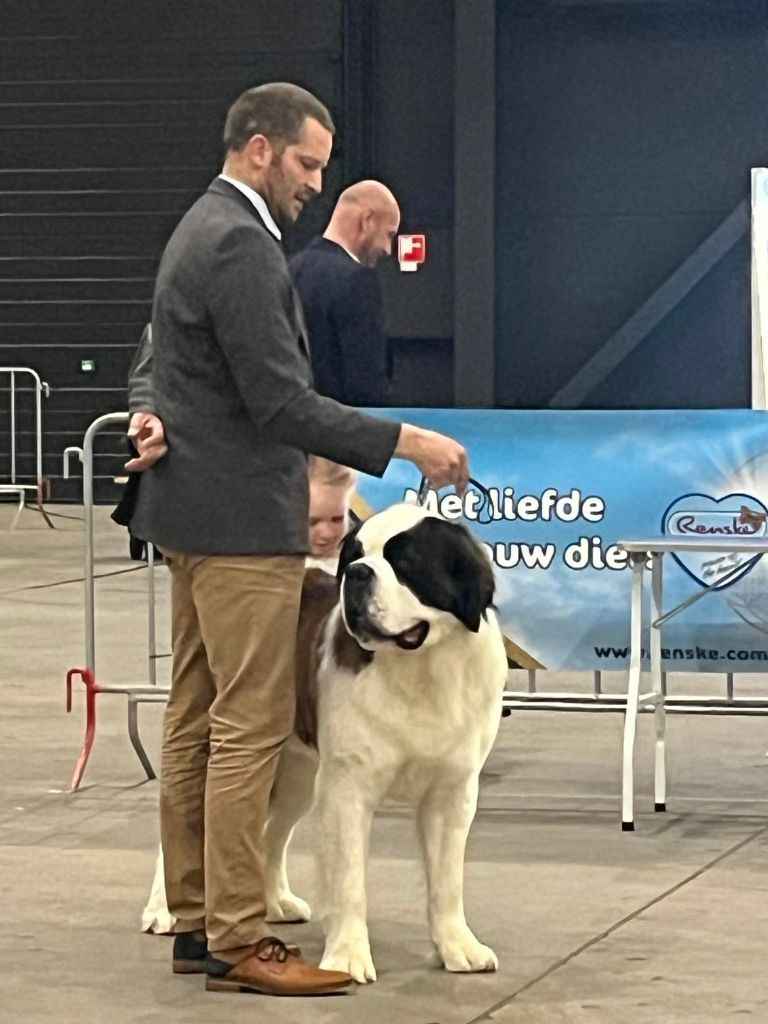 CH. Sheamus du Temple d'Haoma - CAC CACIB BOB