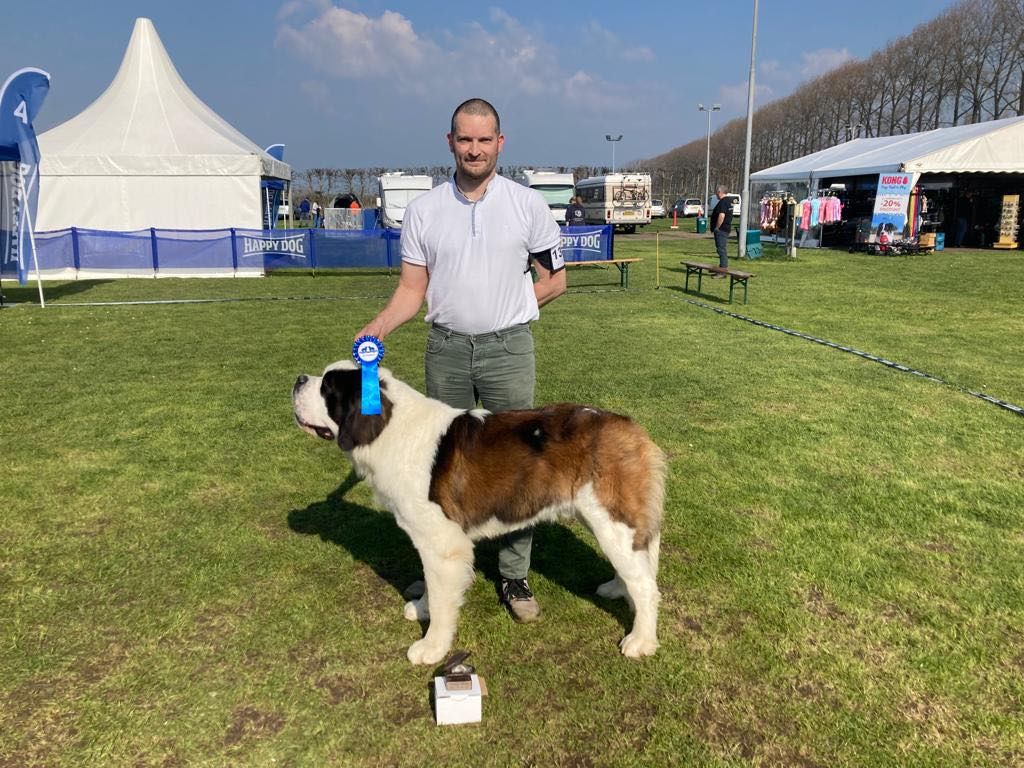 CH. Sheamus du Temple d'Haoma - 1 Excellent CAC & BOB