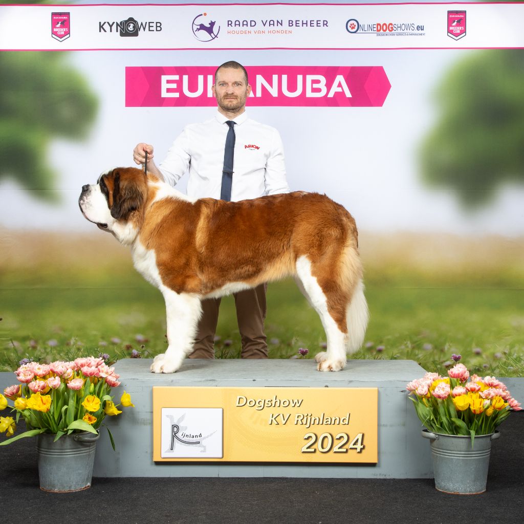 CH. Du Domaine De La Poudrière Winehouse amy - Jeune , Excellent , ? 2