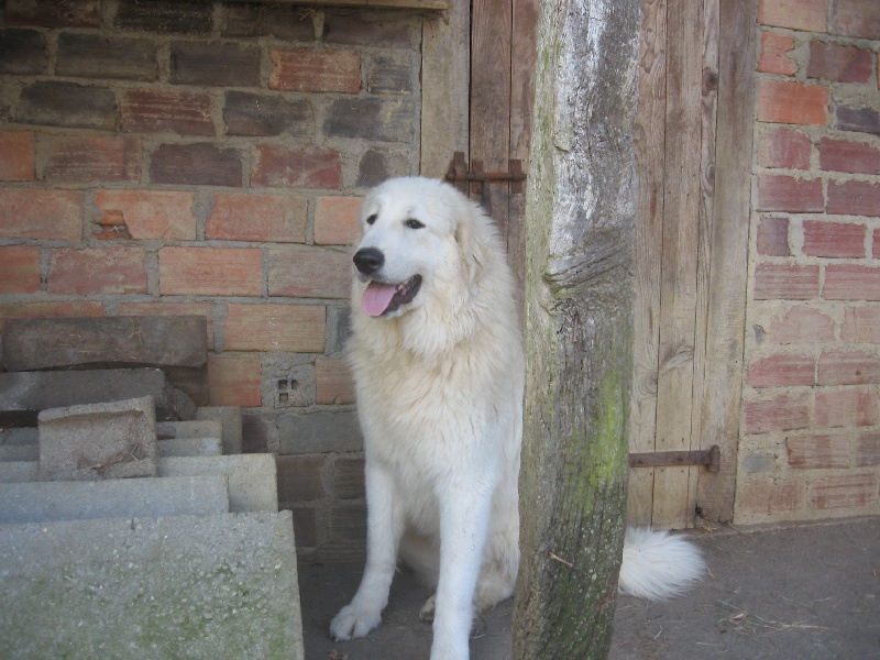 Publication : Du neouvielle