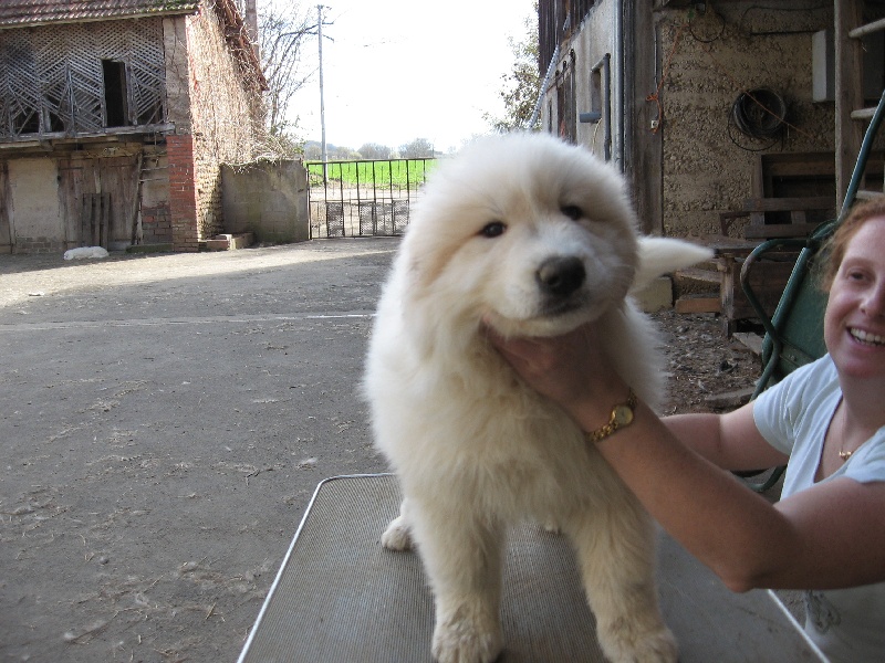 Publication : Du neouvielle