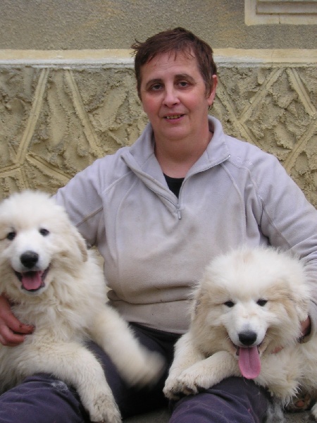 Publication : du Mas de la Valliere