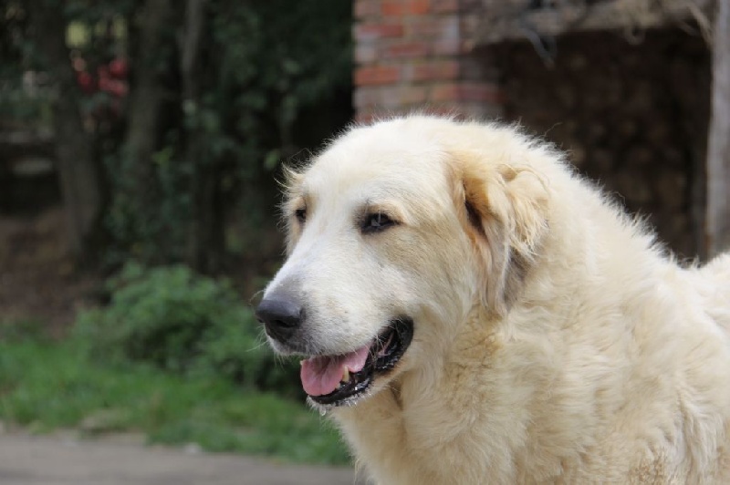 Publication : Du neouvielle